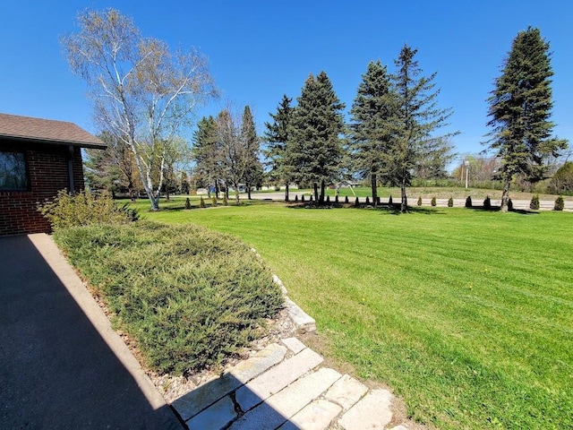 171 8th St, Clintonville, WI 54929 - view of grassy yard