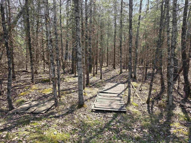 1567 N Shore Rd, La Pointe, WI 54850