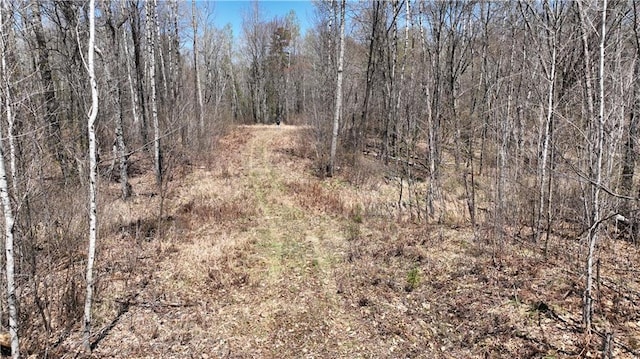XX E Beauregard Lake Rd, Solon Springs, WI 54873