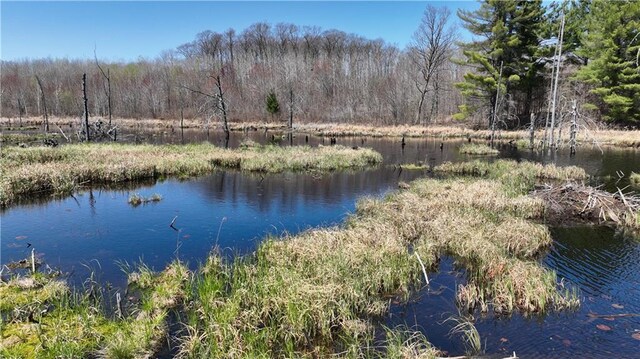 XX E Beauregard Lake Rd, Solon Springs, WI 54873