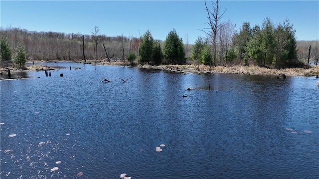 XX E Beauregard Lake Rd, Solon Springs, WI 54873