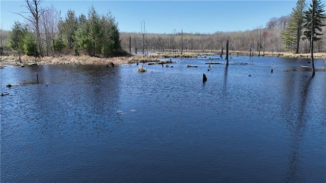 XX E Beauregard Lake Rd, Solon Springs, WI 54873