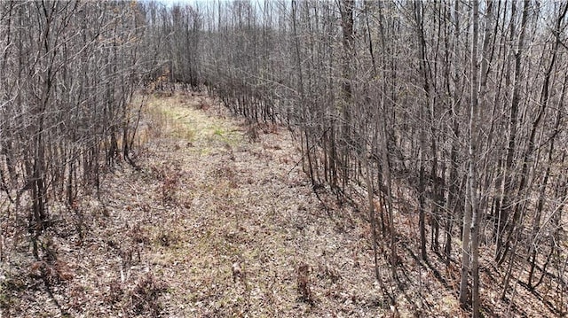 XX E Beauregard Lake Rd, Solon Springs, WI 54873
