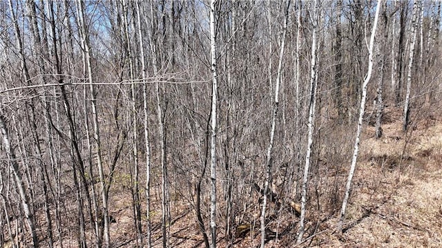 XX E Beauregard Lake Rd, Solon Springs, WI 54873