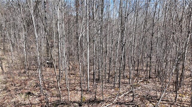 XX E Beauregard Lake Rd, Solon Springs, WI 54873