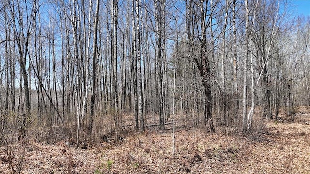 XX E Beauregard Lake Rd, Solon Springs, WI 54873