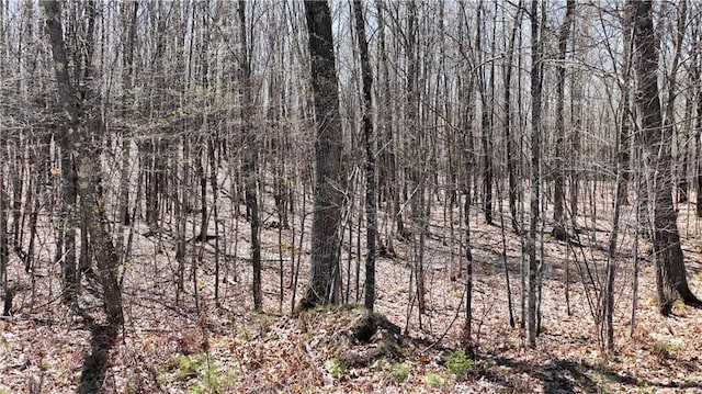 XX E Beauregard Lake Rd, Solon Springs, WI 54873