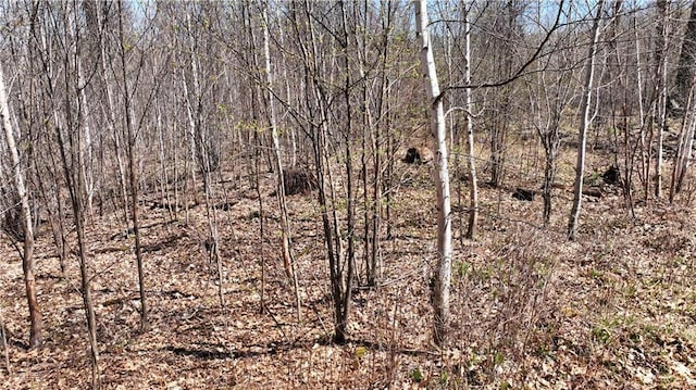 XX E Beauregard Lake Rd, Solon Springs, WI 54873