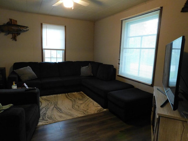 1100 Champagne St, Merrill, WI 54452 - living area featuring plenty of natural light, wood finished floors, and a ceiling fan