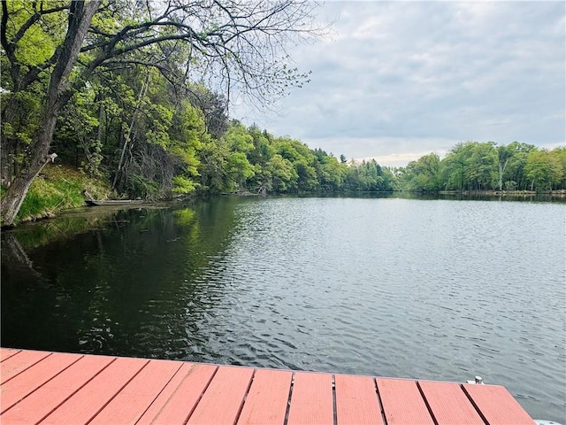 E6355 County Road D Dr, Colfax, WI 54730 - dock area with a water view and a view of trees