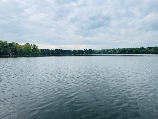 E6355 County Road D Dr, Colfax, WI 54730 - water view with a heavily wooded area
