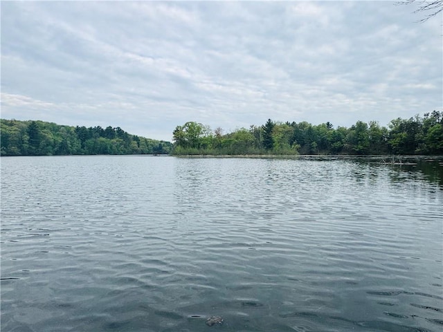 E6355 County Road D Dr, Colfax, WI 54730 - water view with a heavily wooded area