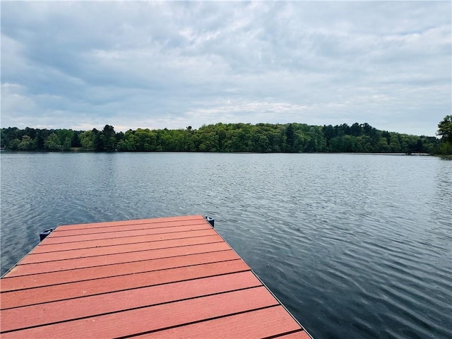 E6355 County Road D Dr, Colfax, WI 54730 - dock area featuring a water view and a view of trees