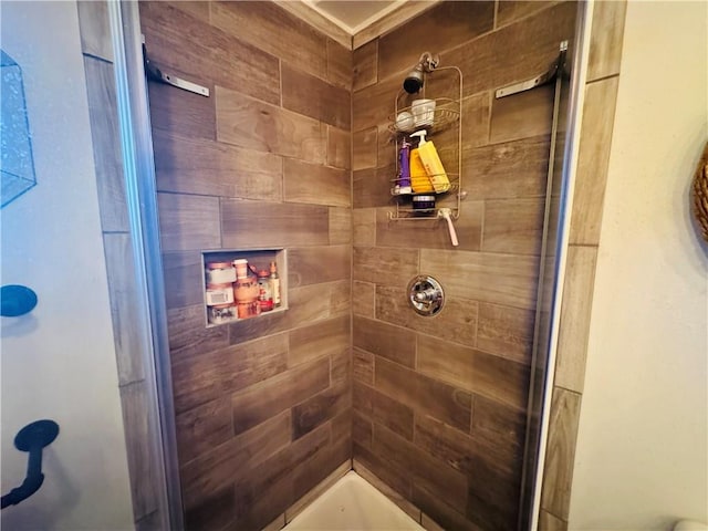 E6355 County Road D Dr, Colfax, WI 54730 - full bathroom featuring a shower stall