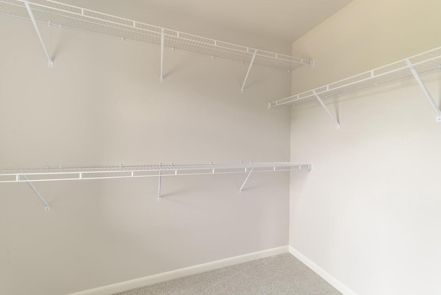 9120 Valley View Rd, Verona, WI 53593 - walk in closet with carpet