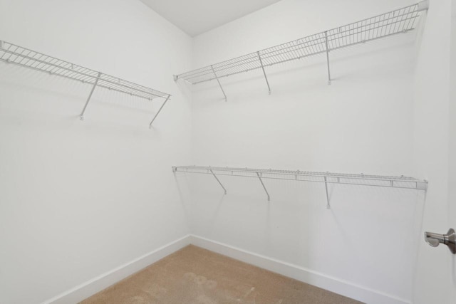 2140 Prairie View Pt, Lake Geneva, WI 53147 - spacious closet featuring light colored carpet