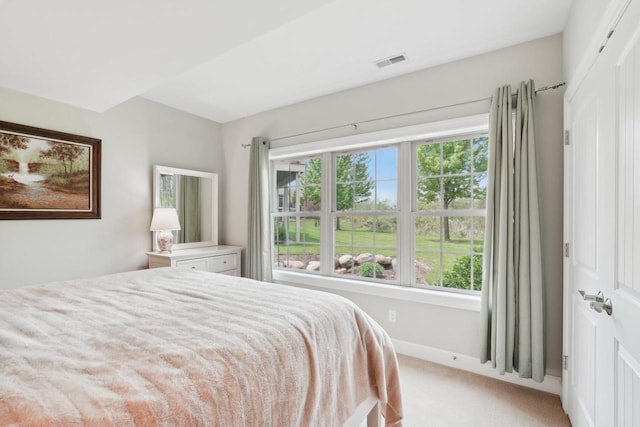 2140 Prairie View Pt, Lake Geneva, WI 53147 - bedroom with light colored carpet and baseboards