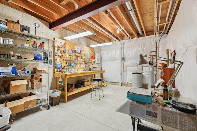 2140 Prairie View Pt, Lake Geneva, WI 53147 - unfinished below grade area with a workshop area