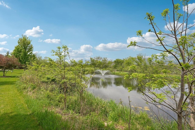 2140 Prairie View Pt, Lake Geneva, WI 53147 - water view