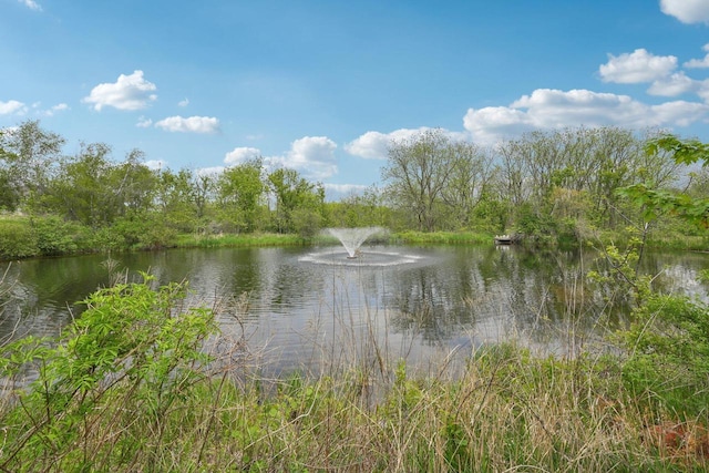 2140 Prairie View Pt, Lake Geneva, WI 53147 - water view