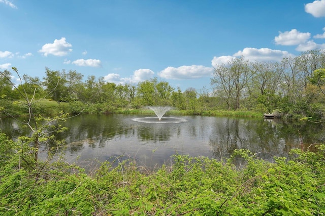 2140 Prairie View Pt, Lake Geneva, WI 53147 - water view