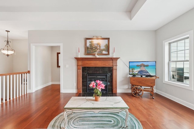 2140 Prairie View Pt, Lake Geneva, WI 53147 - living room featuring wood finished floors, a premium fireplace, and baseboards