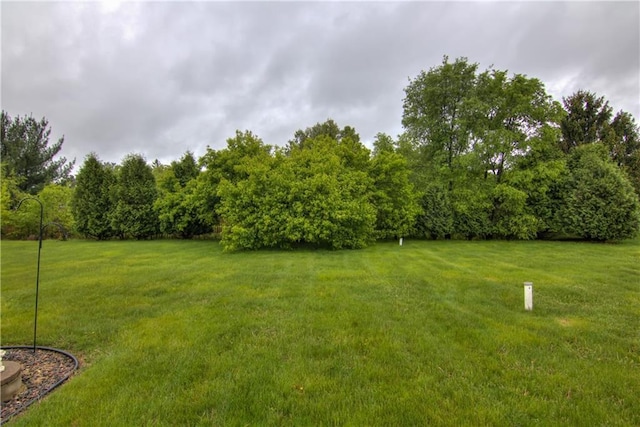13037 40th Ave Ave, Chippewa Falls, WI 54729 - view of green lawn