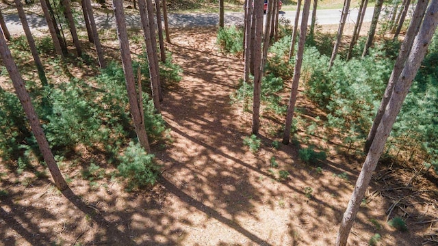 Fawn Ln, Hancock, WI 54943