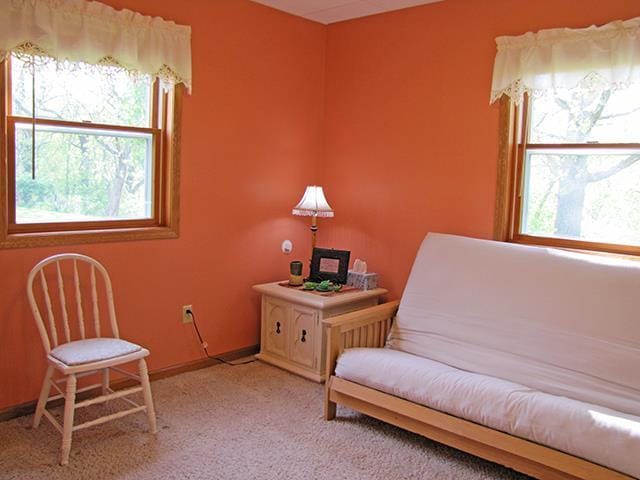 1060 Kamla Ct, Platteville, WI 53818 - living area with light colored carpet