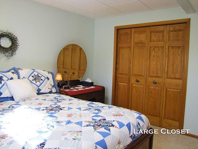 1060 Kamla Ct, Platteville, WI 53818 - bedroom with a closet, carpet flooring, and a drop ceiling