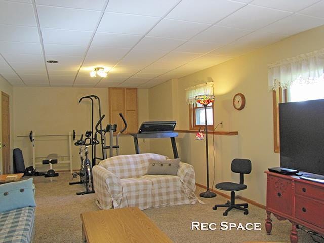 1060 Kamla Ct, Platteville, WI 53818 - exercise room featuring carpet floors