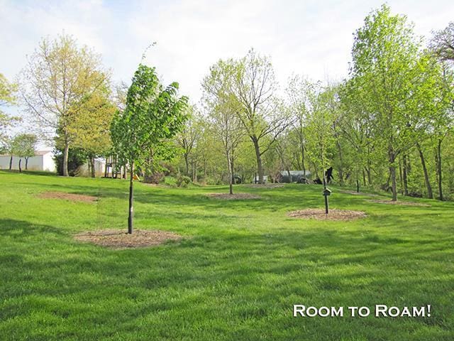 1060 Kamla Ct, Platteville, WI 53818 - view of community featuring a yard