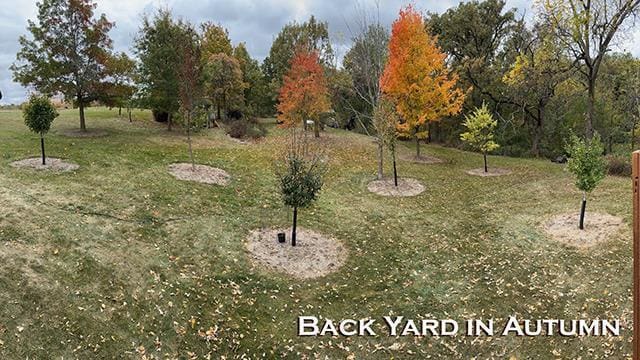 1060 Kamla Ct, Platteville, WI 53818 - view of yard
