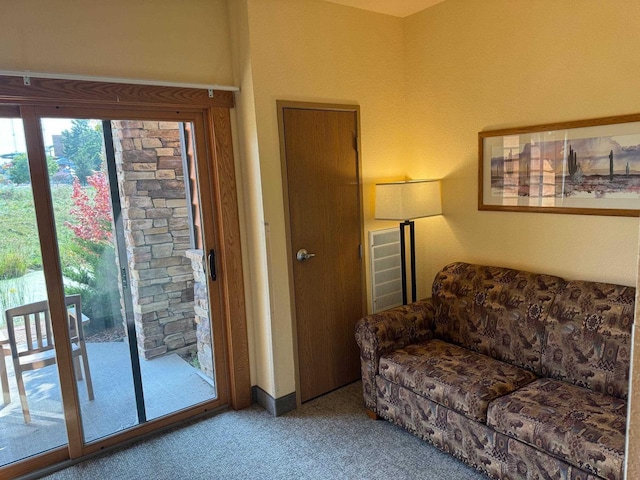 2504 River Rd Unit 7105, Wisconsin Dells, WI 53965 - view of carpeted living room