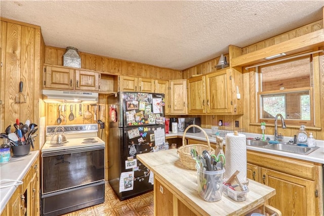 10148 Mcclaine Rd, Hayward, WI 54843 - kitchen featuring range with electric cooktop, under cabinet range hood, a sink, freestanding refrigerator, and a textured ceiling