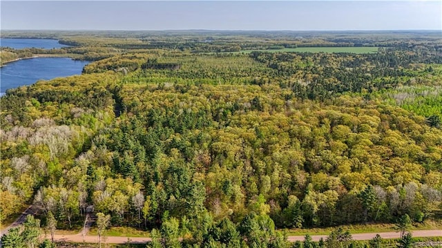 10148 Mcclaine Rd, Hayward, WI 54843 - aerial view of property's location with a forest and a large body of water