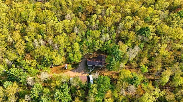 10148 Mcclaine Rd, Hayward, WI 54843 - aerial view of property and surrounding area with a heavily wooded area