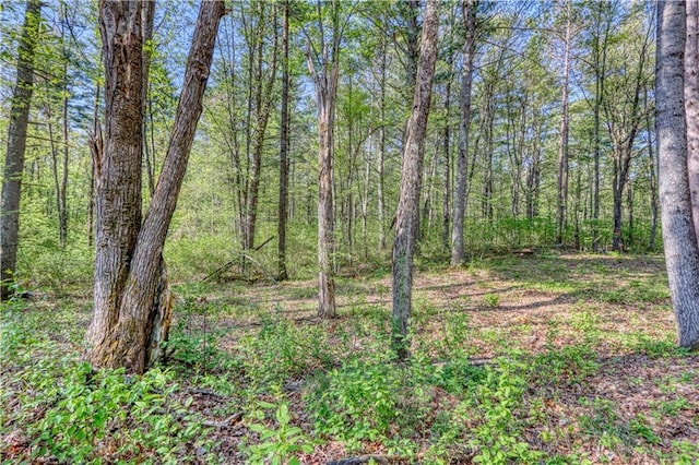 10148 Mcclaine Rd, Hayward, WI 54843 - view of wooded area