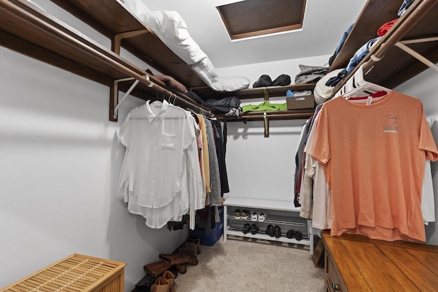 S58W22640 Glengarry Rd, Waukesha, WI 53189 - spacious closet with carpet flooring and attic access