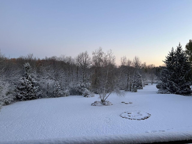 S58W22640 Glengarry Rd, Waukesha, WI 53189 - view of snowy yard