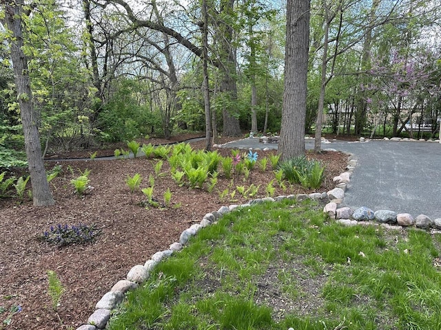 4330 Wilderness Dr, Mount Pleasant, WI 53403 - view of yard