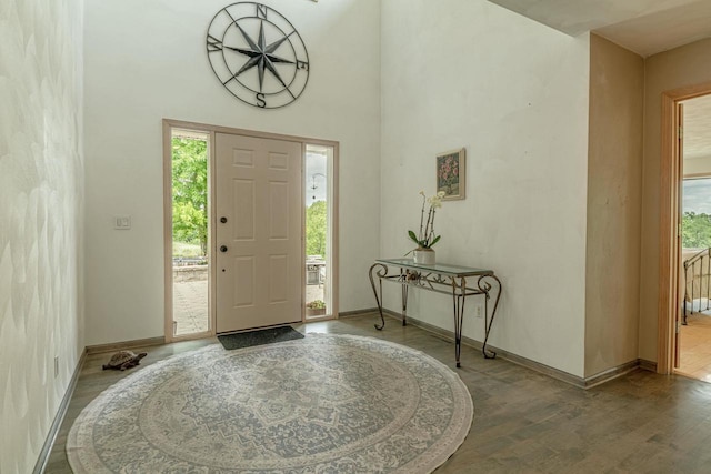 W6504 Klassy Rd, New Glarus, WI 53574 - entrance foyer with wood finished floors, baseboards, and a high ceiling