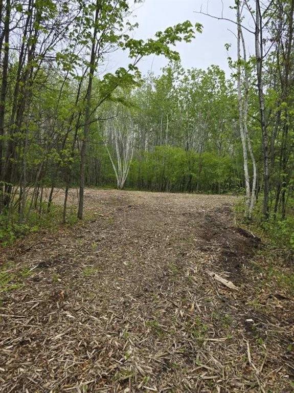 000 Williams Rd, Shell Lake, WI 54871
