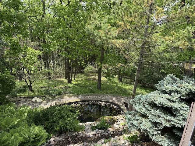 N1961 Hickory Ln, La Crosse, WI 54601 - view of woods
