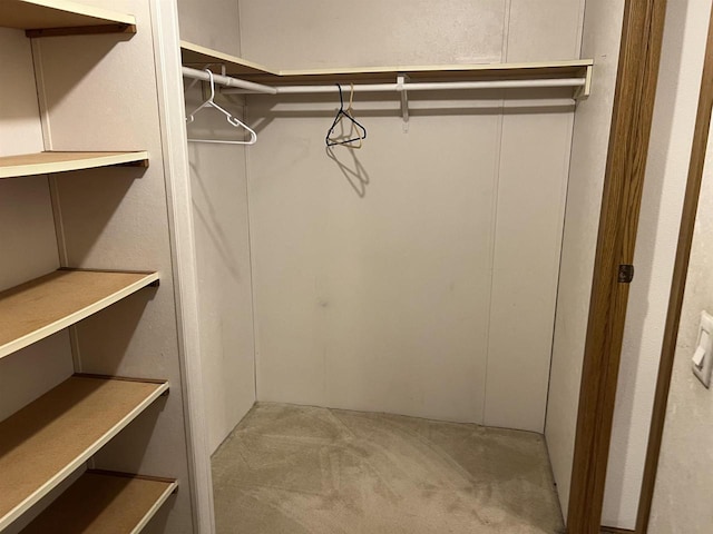 spacious closet with carpet flooring