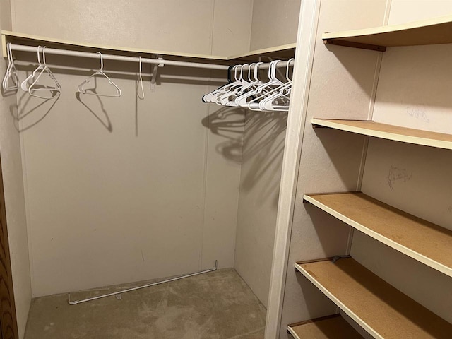 spacious closet with carpet