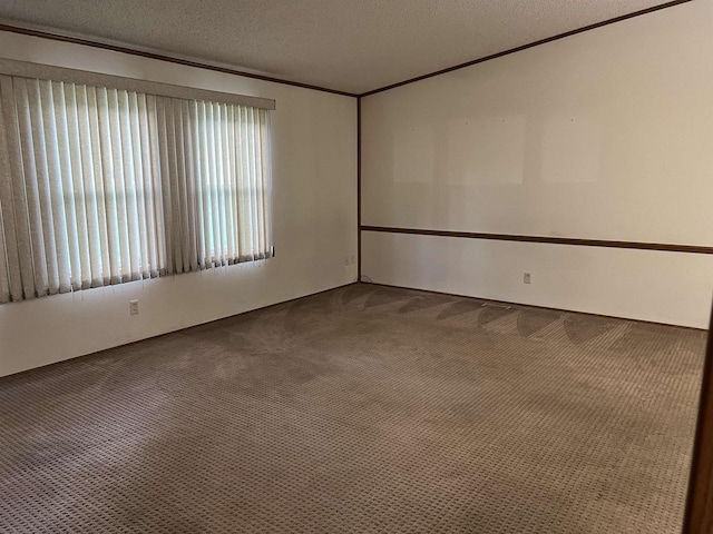 carpeted spare room with crown molding and a textured ceiling