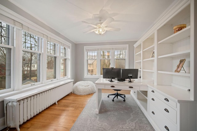 2663 N Wahl Ave, Milwaukee, WI 53211 - office area with radiator, light wood-type flooring, ceiling fan, and ornamental molding