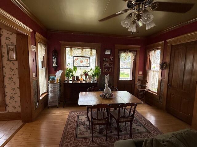 400 S Water St, Sparta, WI 54656 - dining room featuring crown molding, light wood-style floors, and ceiling fan