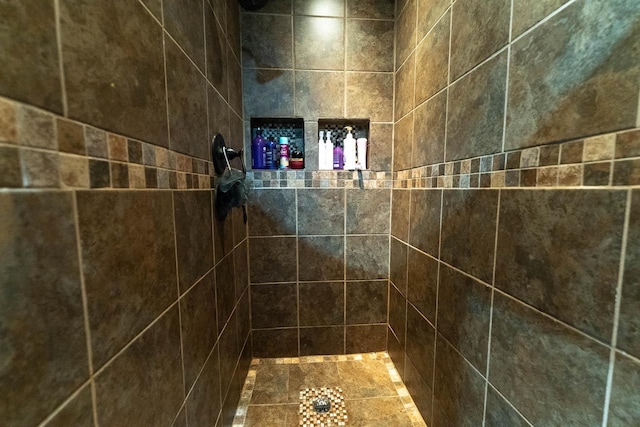 105 Glenview Dr, Tomah, WI 54660 - full bathroom with a tile shower